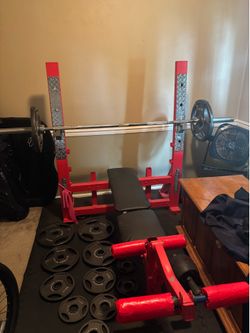 Workout Bench with Weights