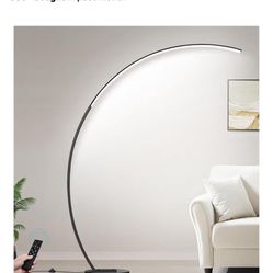 Curved Floor Lamp