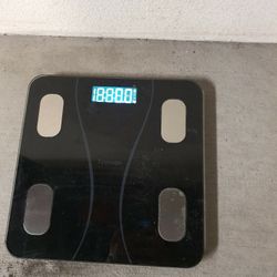 Digital Scale 