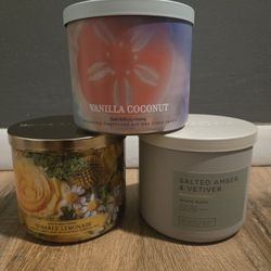 Bath And Body Works Candles/wallflowers 
