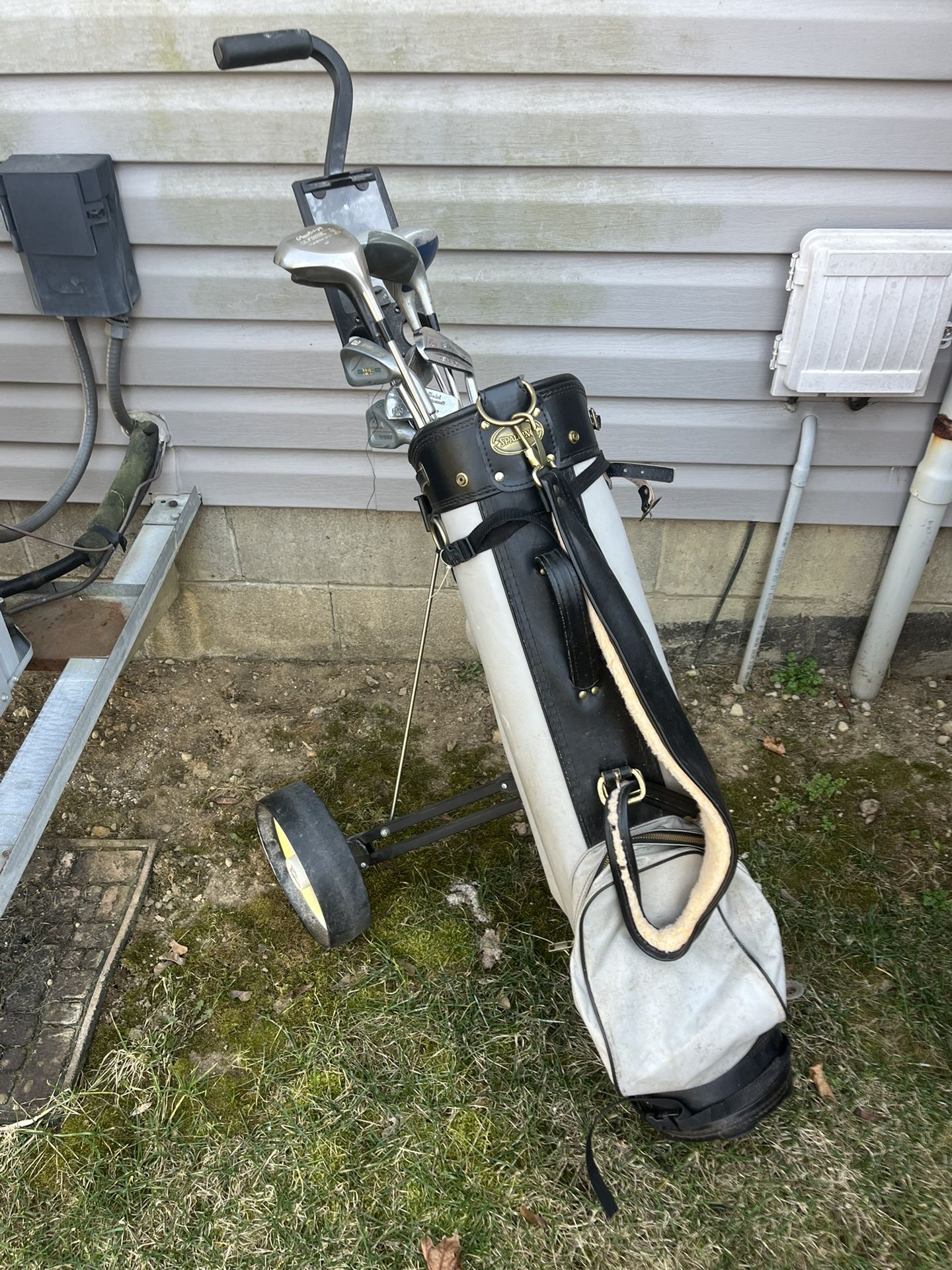 Golf clubs, cart, and bag