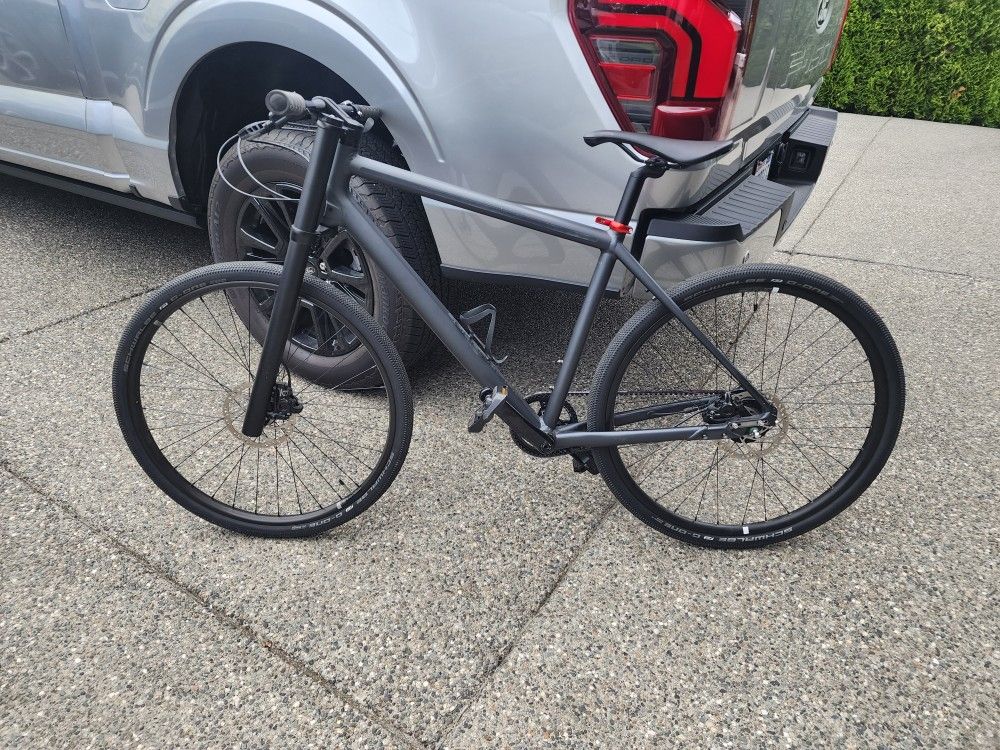 Cannondale Bad Boy 1 Belt Drive Hybrid Bike Medium