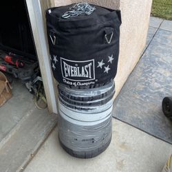 Everlast Punching Bag