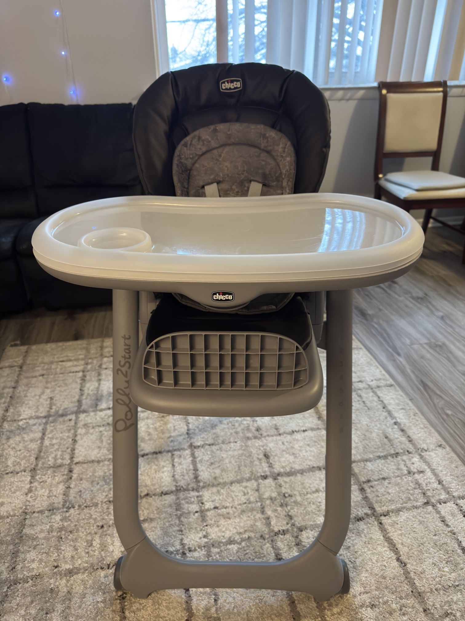 Chico, Gray And Brown