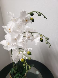 Fake plant