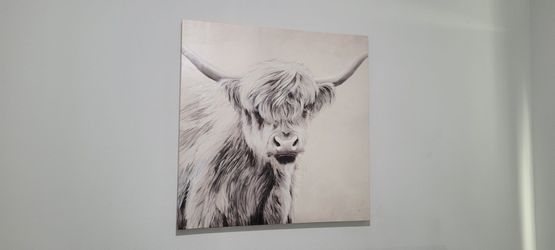 Highland Cow Canvas Wall Art