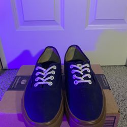 Vans Authentic Skate Shoes 