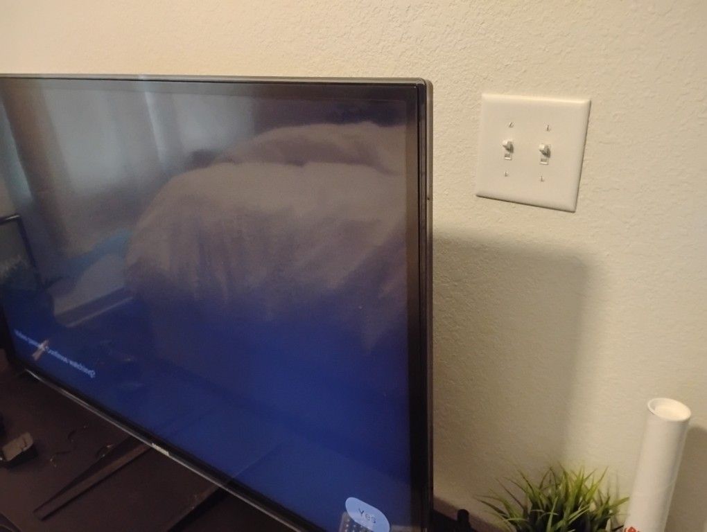 Samsung 50inch TV