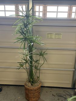 Fake Plant