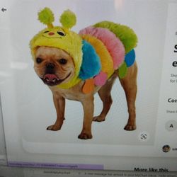 Top Paw Caterpillar Halloween Dog Costume - XS - New 