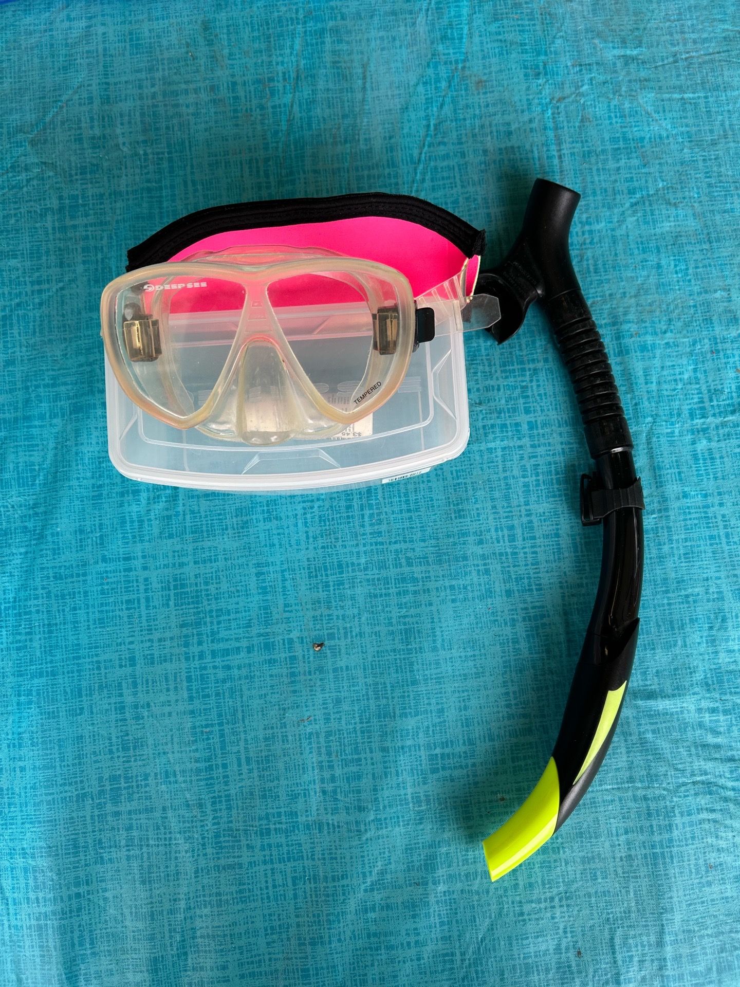 Snorkel mask and snorkel