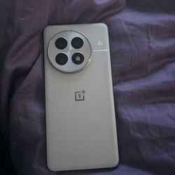 One Plus 13 Pro Unlocked