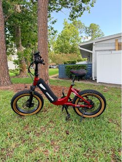 E bike