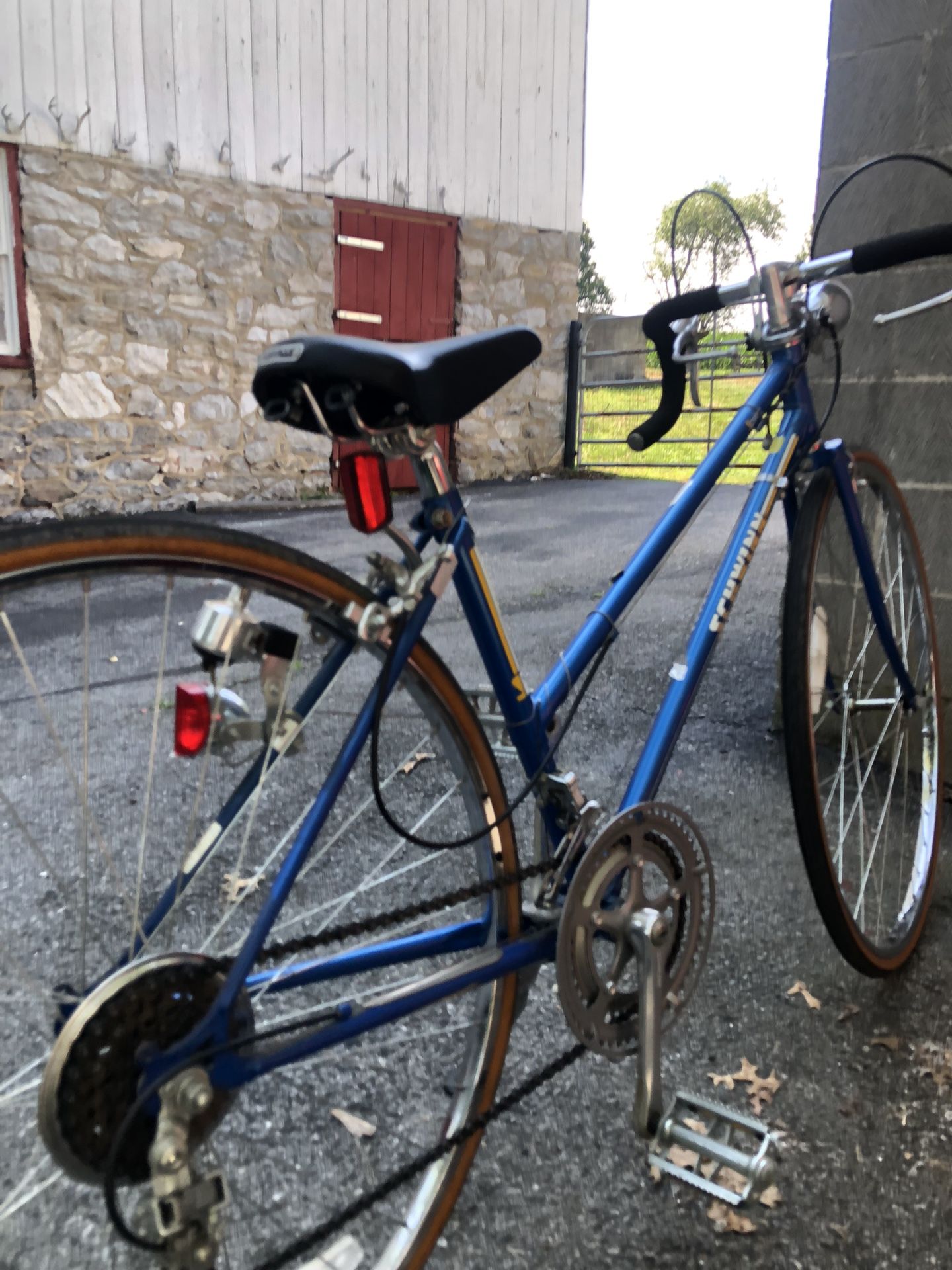 Schwinn Speed Bike