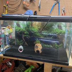 30 Gal Aquarium With Light & filter
