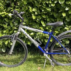 Raleigh M20 Mountain Bike – Solid Frame, Needs Tune-Up