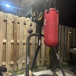 Boxing Punching Bag