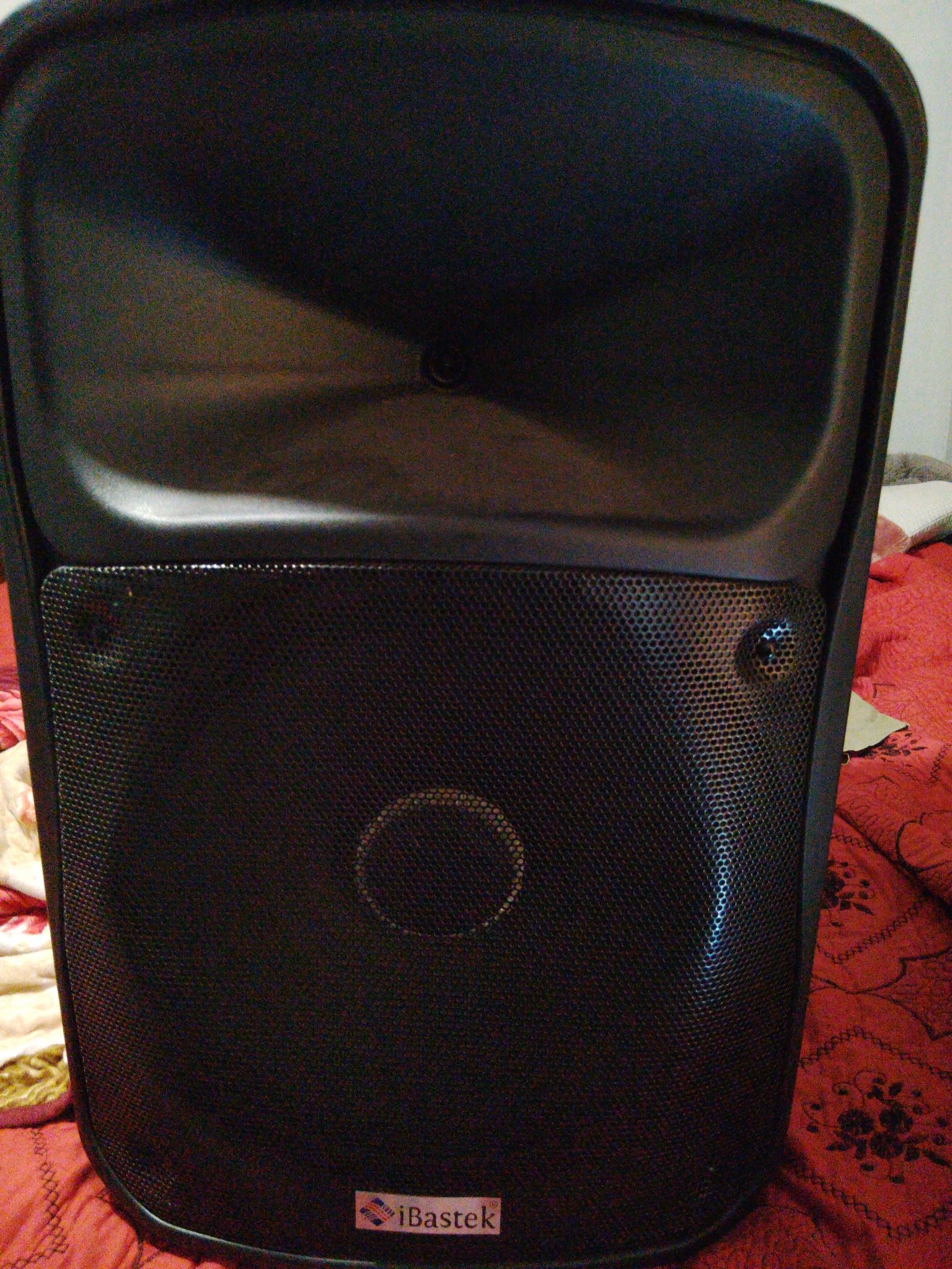 I bastek 15” Speaker 