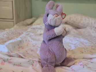 TY 2000 Beanie Baby SPRINGY THE BUNNY RABBIT 7" Bean Bag STUFFED ANIMAL Toy