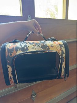 Dog carrier