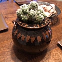 Cluster Cactus in Handcrafted Ceramic Pot – Easy Care, Unique Décor