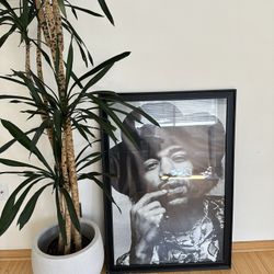 Vintage Jimmy Hendricks Poster