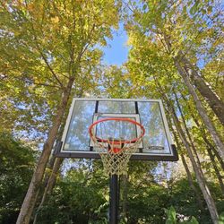 Basketball Hoop Lifetime Elite 52" 