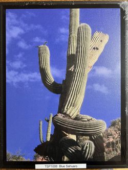 Blue Sahuaro