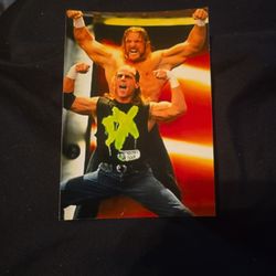 Triple H & Shawn Micheals Photo