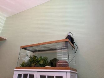 20 Gallon Wood Frame Reptile Enclosure + Extras