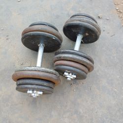 Dumbbells 2x65lbs