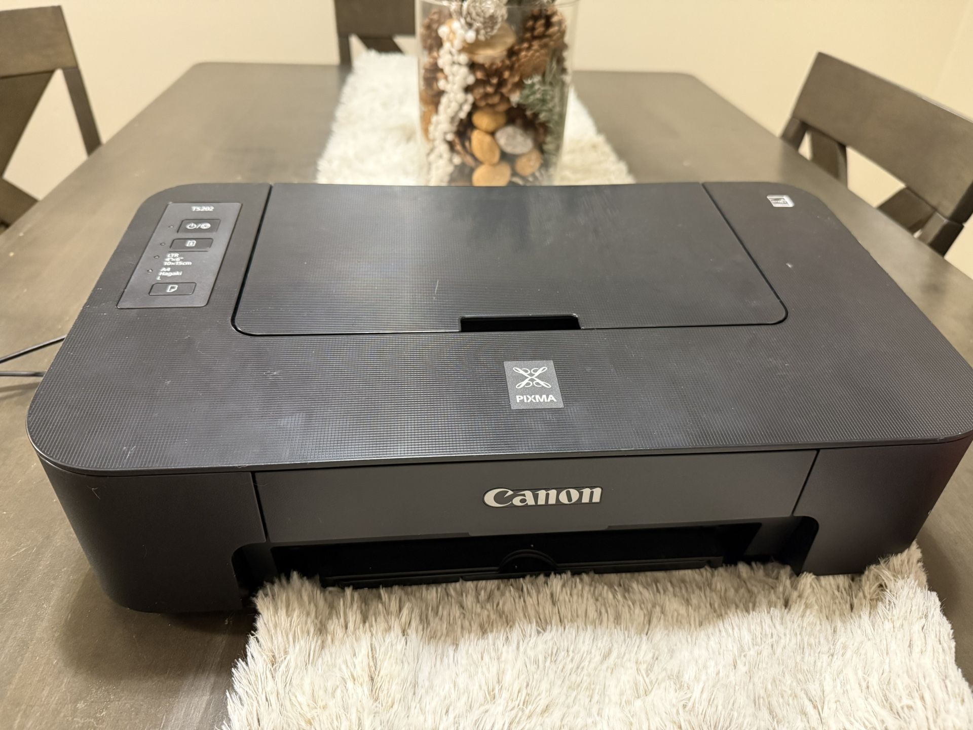 Canon Pixma Ts202 Printer