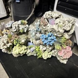 Aquarium Supplies