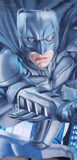 Twin batman comforter.