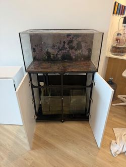 Waterbox 70.3 Aquarium