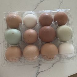 Fresh Free Range Eggs $5