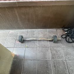 Curl Bar 