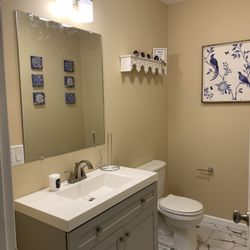 Vanity Mirror Toilets 
