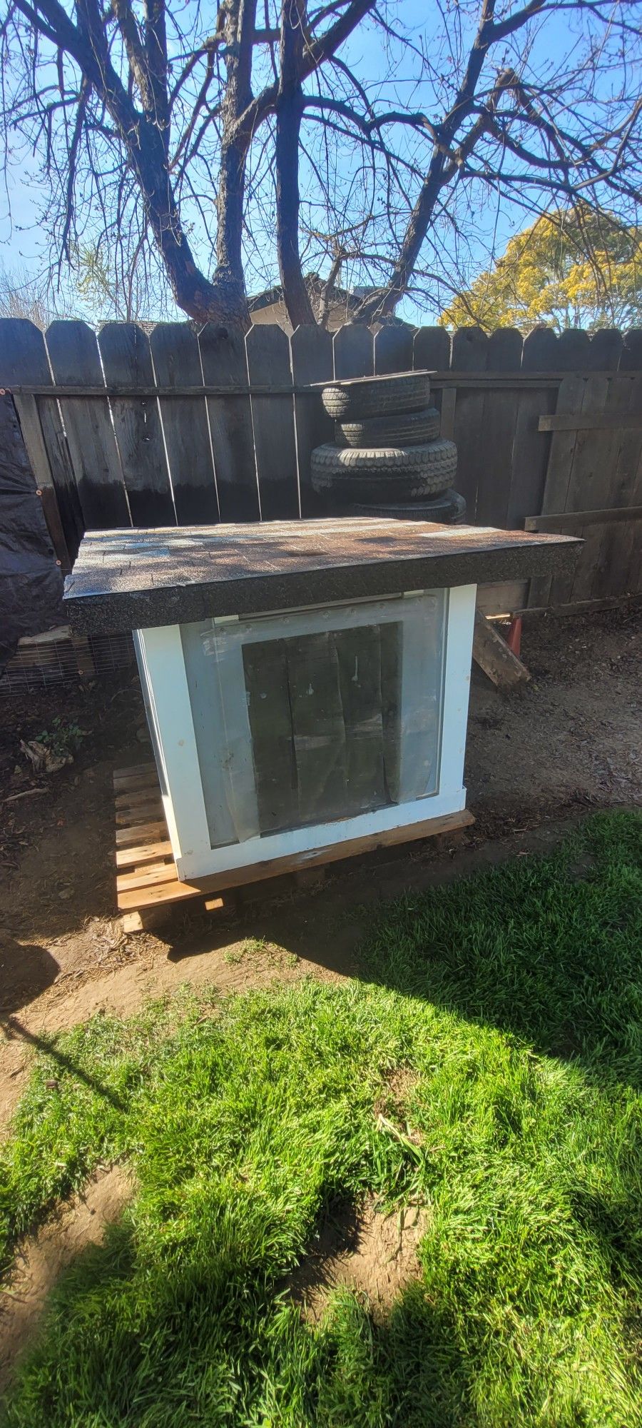Dog House
