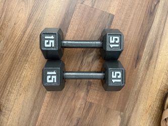 15 lbs. dumbbell pair