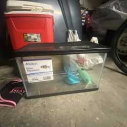 10 Gallon Tank And Lid