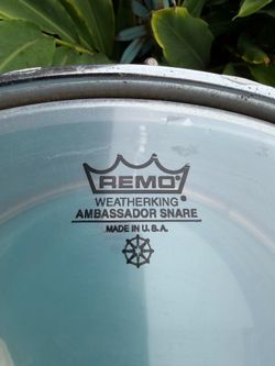 Peace-Remo Weather King Ambassador Snare Drum 14" Silver Chrome