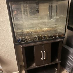Fish Tank And Stand