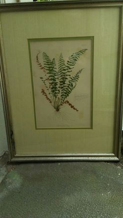Classic fern in silver frame
