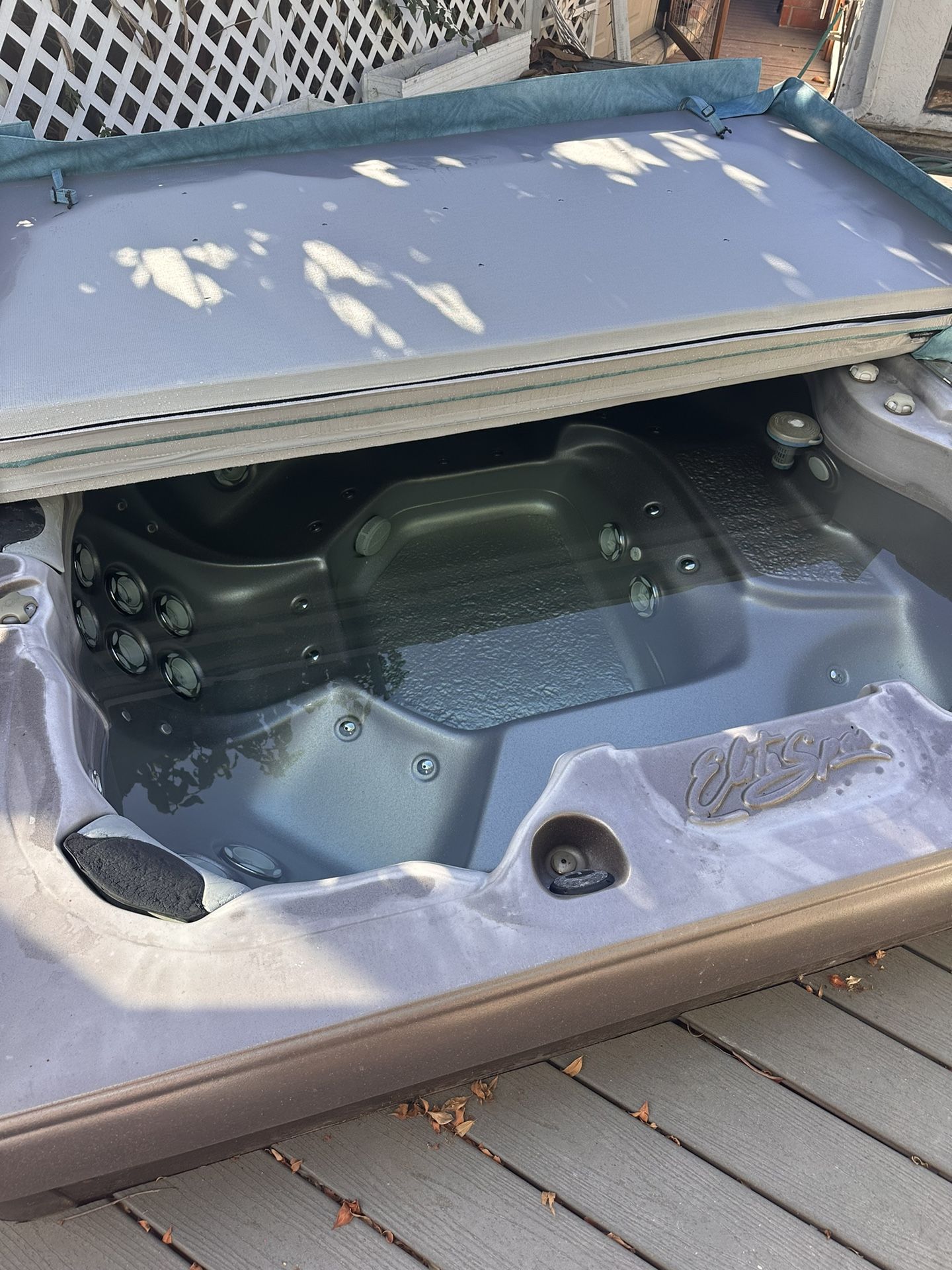 Elite Spa—Working Condition!