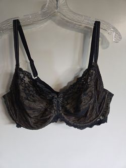 New 40DD