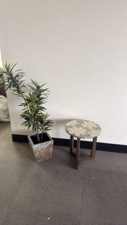 Side table and plant with or without planter
