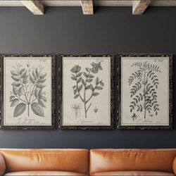 3Piece Wall Art