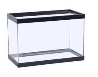 10 Gallon Tank Black