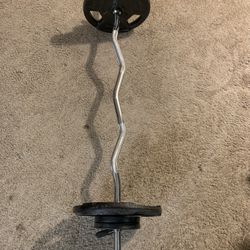 Curl Bar + Weight Plates: Total 70 Pounds 